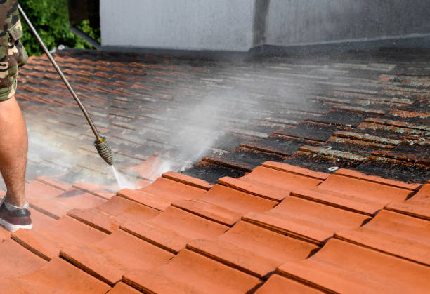 Best Deck Pressure Washing  in Bay Hill, FL